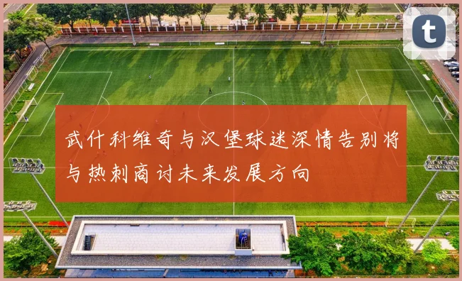武什科维奇与汉堡球迷深情告别将与热刺商讨未来发展方向