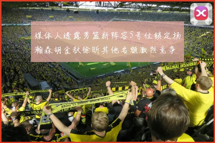 媒体人透露男篮新阵容5号位锁定杨瀚森胡金秋徐昕其他名额激烈竞争
